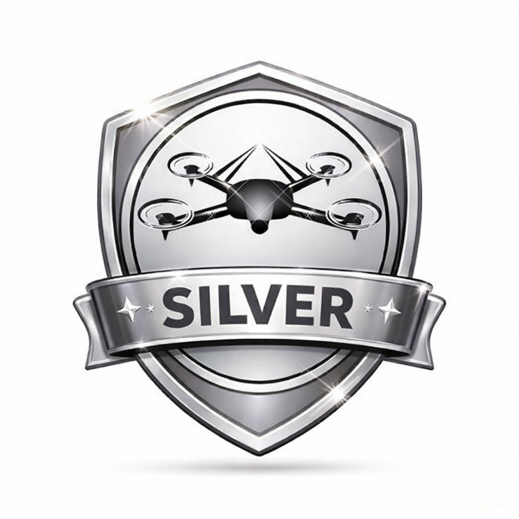 Silver Drone Survey Plan