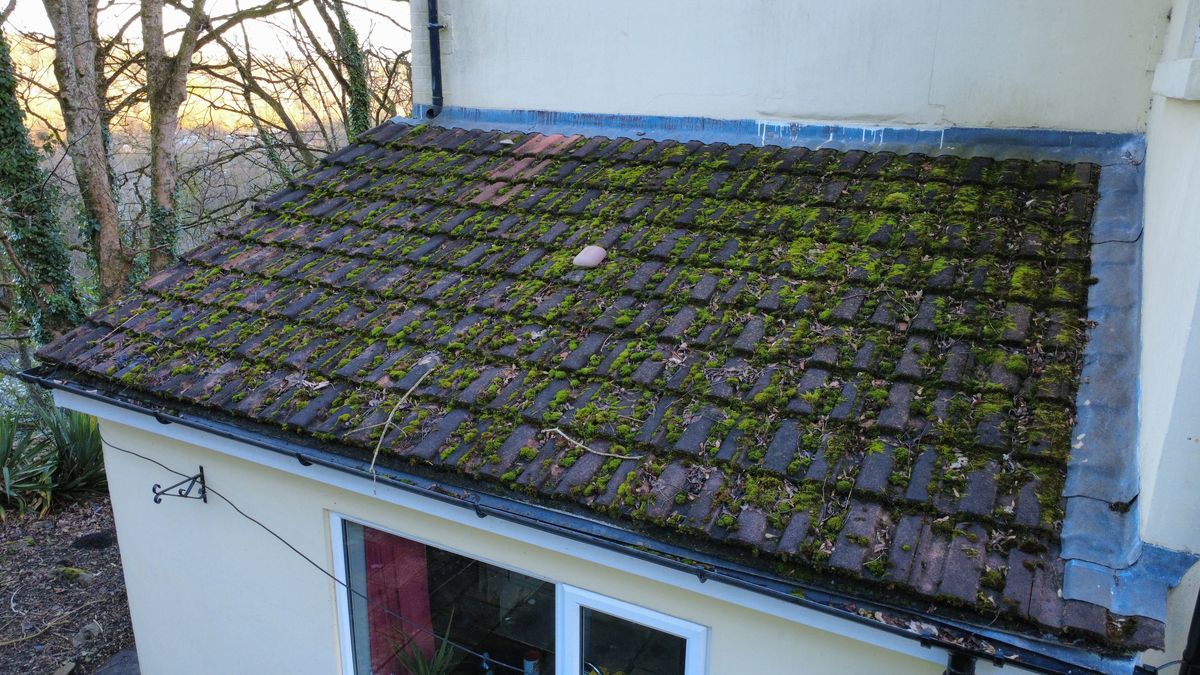Aerial photo of a mossy tiled lean-to roof from above